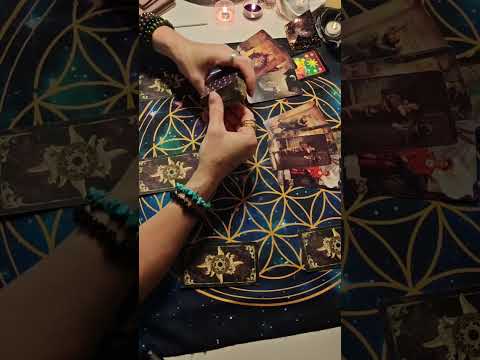 Видео: ✨Коалиция желающих октябрь ✨