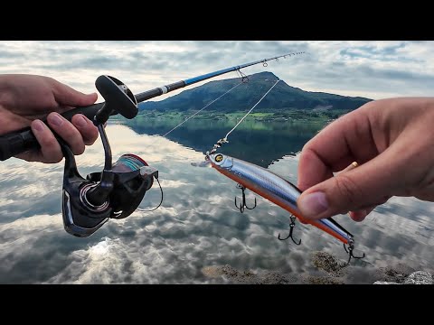 Видео: ВОБЛЕР РАБОТАЕТ… Рыбалка на Воблер в норвежском море