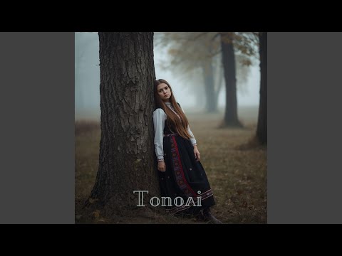 Видео: Тополі