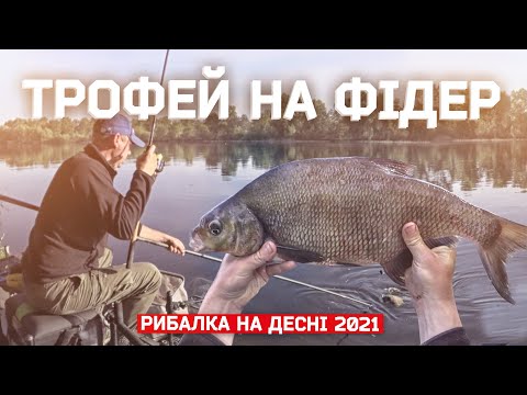 Видео: ТРОФЕЙНА РИБАЛКА НА ДЕСНІ. ЛЯЩ НА ФІДЕР У ТРАВНІ 2021.