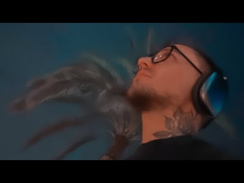 Видео: Уставшие, но довольные  … насыщенный день