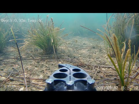 Видео: Подводный дрон Fifish v6 exp пробное погружение