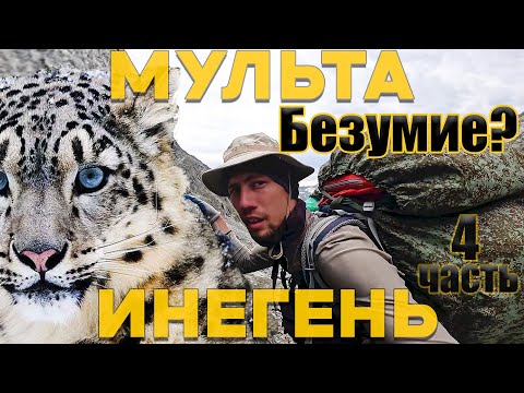 Видео: АЛТАЙ. ИРБИС. ВСТРЕТИЛ КОТА. Кульдора. Тегеек. Кологаш. СОЛО поход в ГОРЫ. МУЛЬТА ИНЕГЕНЬ 4 часть