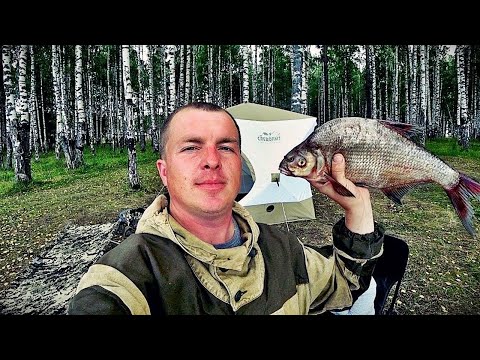Видео: СУТКИ В ПАЛАТКЕ/ЛОВЛЯ КАРПА И ЛЕЩА НА ДОНКИ/ОБУСТРОЙСТВО И БЫТ В ЛАГЕРЕ...
