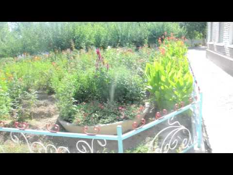 Видео: Шамалды-Сай. № 2 Мектеп.