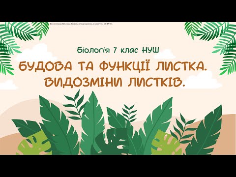 Видео: Біологія 7 клас НУШ Будова та функція листка  Видозміни листків
