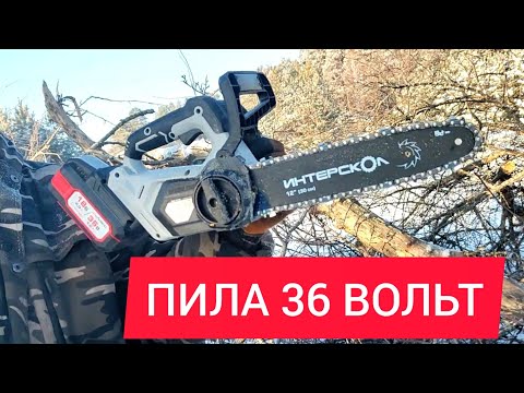 Видео: Аккумуляторная пила Интерскол ПЦА-12/36В в работе. Обрезка дерева