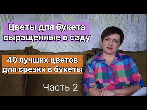 Видео: Цветы для букетов. Выращивание для срезки. Часть 2.