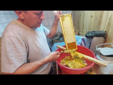 Видео: Качаем МЕД!  03.08. 2024 г.