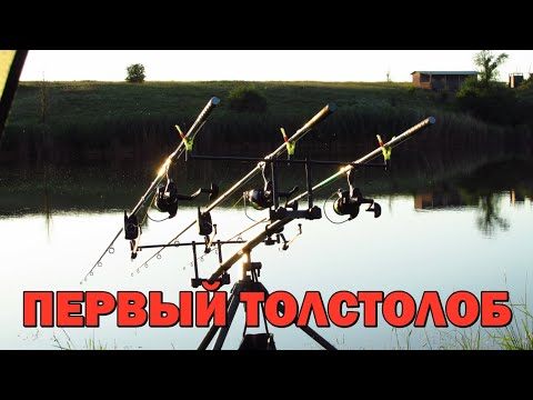 Видео: Толстолоб На Резинку 🐬 Открыл Сезон по Лобатому / Fishing Video