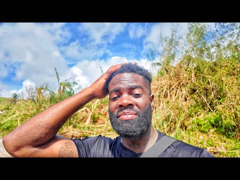 Видео: САМАЯ СТРАШНАЯ НОЧЬ В НАШЕЙ ЖИЗНИ | НАШ ОПЫТ ВО ВРЕМЯ И ПОСЛЕ УРАГАНА МЕЛИССА НА ЯМАЙКЕ 💨💔