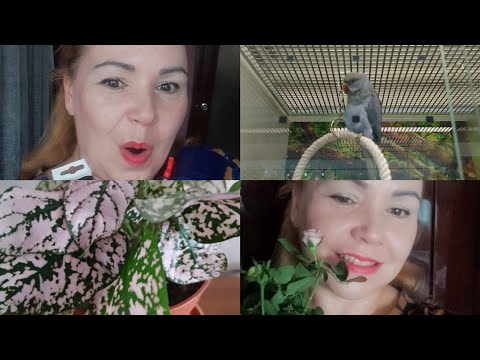 Видео: ВЛОГ - магазин Depo,кафе и суши,распаковка покупок
