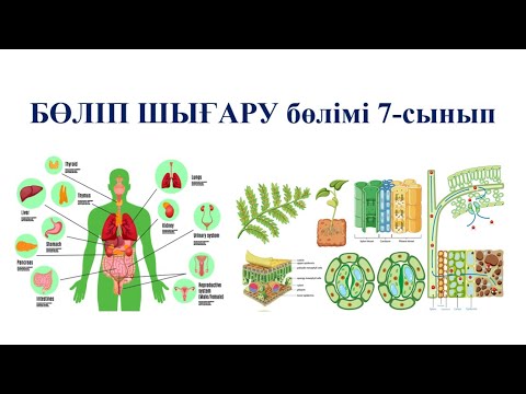 Видео: 7 сынып БИОЛОГИЯ Өсімдік бөлінділерінің ерекшеліктері