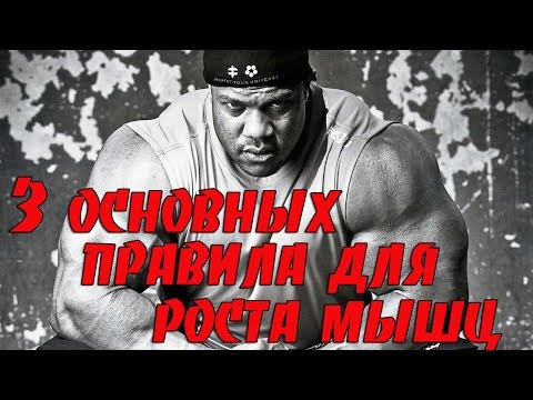 Видео: Условия роста мышц