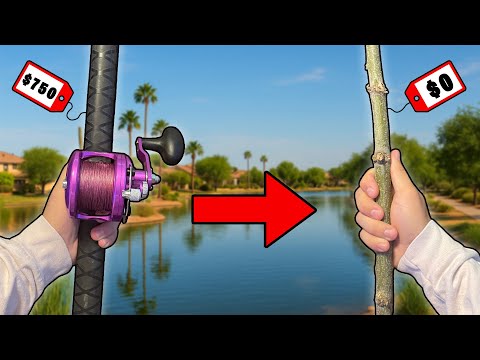 Видео: Каждый раз, когда я ловлю рыбу, моя удочка становится ДЕШЕВЛЕ...