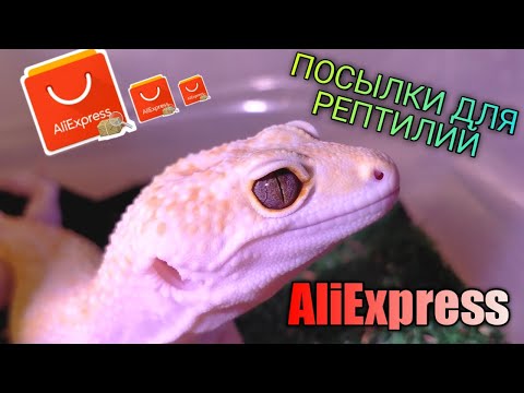 Видео: РАСПАКОВКА ПОСЫЛОК С ALIEXPRESS ДЛЯ РЕПТИЛИЙ / ЭУБЛЕФАРЫ / БОРОДАТЫЕ АГАМЫ