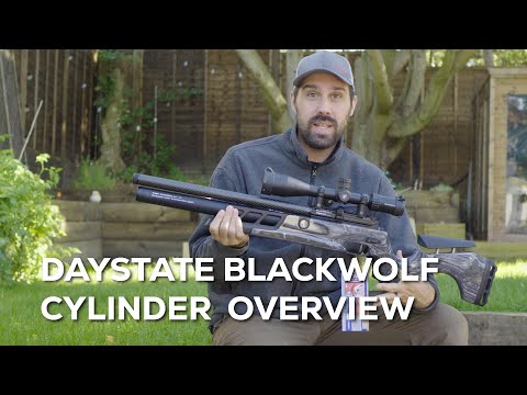 Видео: Ламинированный цилиндр Daystate Blackwolf Grey — обзор реальных стрельб на 25 и 50 ярдов
