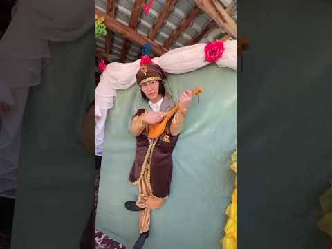 Видео: 24 октября 2025 г.