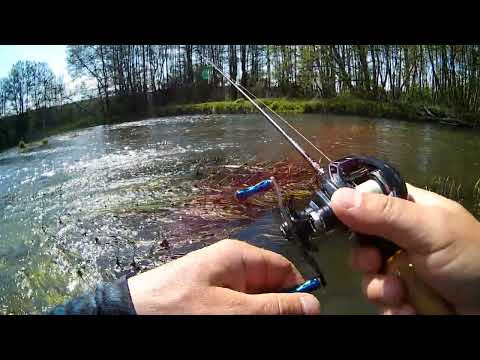 Видео: Haibo ARISE 51 Air XG рыбалка на быстрой реке  Заброс 1 грамма  Форель  Голавль
