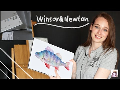 Видео: КАК ВЫБРАТЬ АКВАРЕЛЬНУЮ БУМАГУ?||  Акварельная бумага от Winsor&Newton серии  Professional и Classic