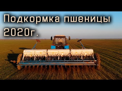 Видео: Подкармливаем пшеницу 2020г. МТЗ-892  СЗ-5.4