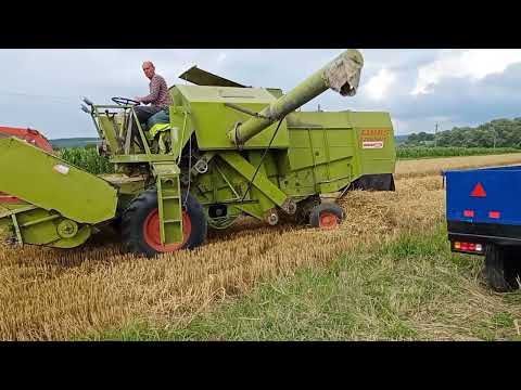 Видео: Рекордний урожай пшениці.. Результат супер))) (жнива 2022) Комбайн CLAAS..