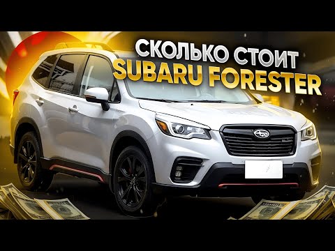 Видео: Считаем SUBARU FORESTER SK5, SKE, SK9 на аукционах Японии