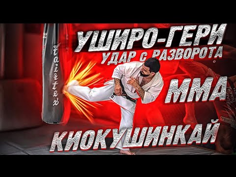 Видео: УШИРОГЕРИ | УДАР С РАЗВОРОТА | КИОКУШИНКАЙ | ММА