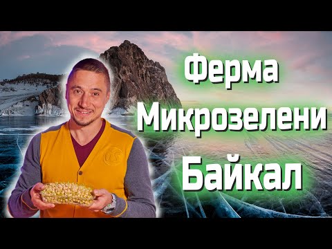 Видео: Ферма Микрозелени Байкал