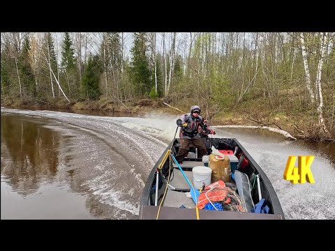 Видео: TOHATSU 50 2T - РАСХОД 0,3 ЛИТРА НА КМ., С ВОДОМЕТНОЙ УЛИТКОЙ |  TOHATSU 50 2T-CONSUMPTION 0.3 LITER