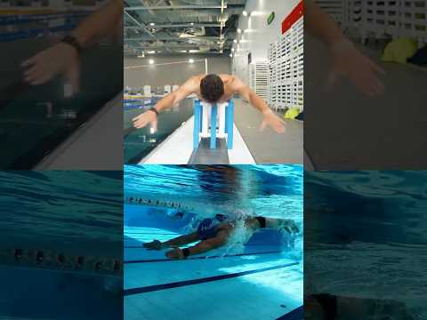 Видео: Эталон плавания баттерфляем 🔥