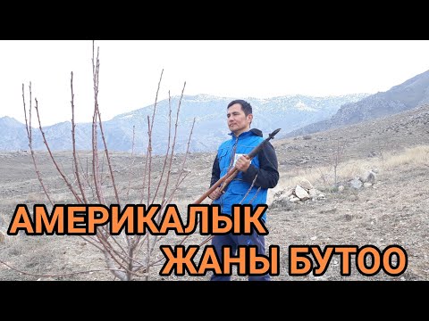 Видео: АМЕРИКАЛЫК ЖАНЫ БУТОО ЫКМАСЫ KGB  3 ЖЫЛДЫК ГИЛАС