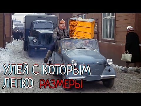 Видео: УЛЕЙ С КОТОРЫМ ЛЕГКО РАЗМЕРЫ И ПОЯСНЕНИЯ