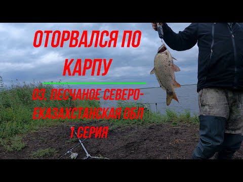 Видео: Оторвался по карпу оз Песчаное Северо Казахстанская обл