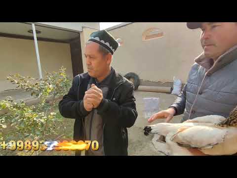 Видео: ПАРВОЗЛАР УЧУН МАХСУС ВИДЕО НАМАНГАН ТУ́РАКУРГОН ЕСКИ ПАРВОЗЛАРИ ЕСИН ТОМОНДАН ОБИДЖОН АКА 