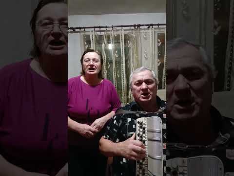 Видео: Волошки сині