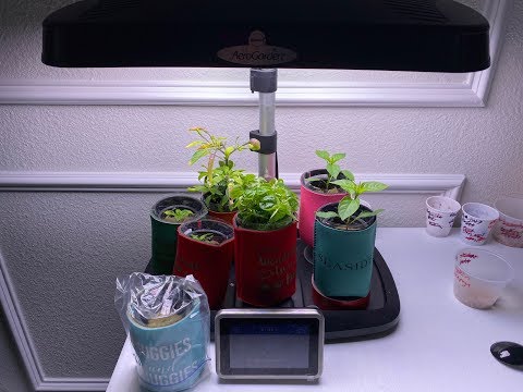 Видео: Мини-гидропоника — полное руководство