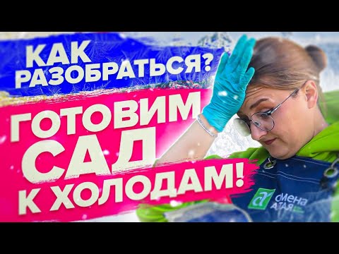 Видео: ГОТОВИМ РАСТЕНИЯ К ЗИМЕ! Чем обработать сад сейчас?