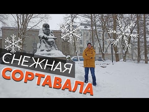 Видео: Снежная Сортавала