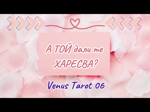 Видео: 💫💌💑А той дали те харесва? Готов ли е за връзка? 💌Какво мисли за теб? #таро #отношения #любов #love