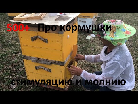 Видео: 500+ Пополняем корма + стимуляция маток через уличные кормушки
