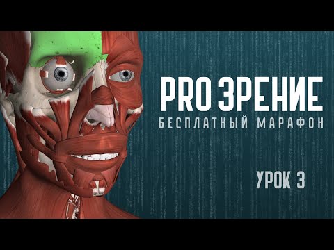 Видео: Лайфхак. Зрение и постоянно поднятые плечи