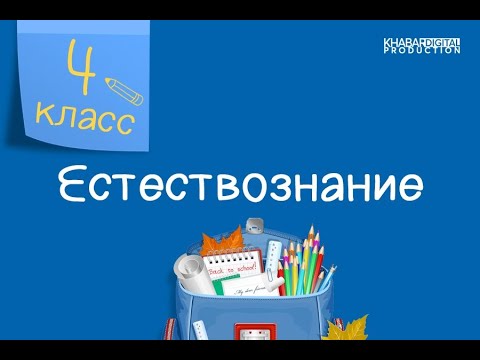 Видео: Естествознание. 4 класс. Малые космические тела. Влияние космоса. Как земля вращается вокруг солнца