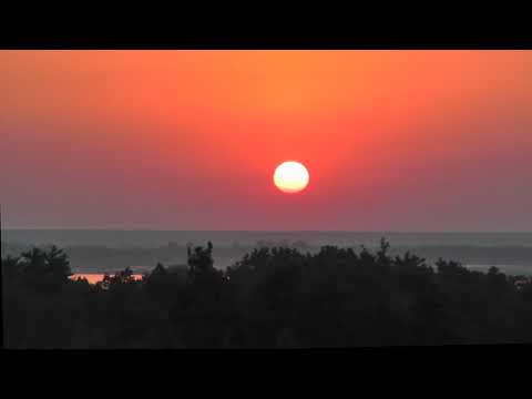 Видео: МАЛИНОВЫЙ ЗВОН В БАРМИНО