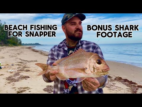 Видео: БЕЗУМНАЯ рыбалка на пляже в Порт-Лео! (В КОНЦЕ — ЛОВЛЯ АКУЛЫ)