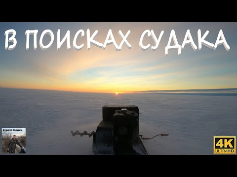 Видео: Ловля судака зимой.