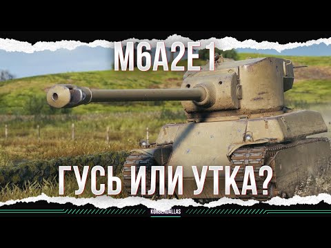 Видео: ЭТО ГУСЬ ИЛИ УТКА? - M6A2E1