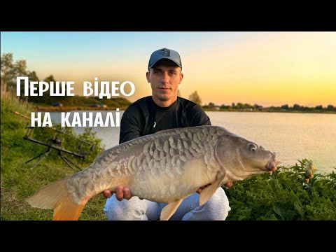 Видео: Ловля коропа в несприятливу погоду.2025