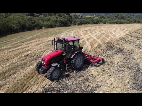 Видео: Дискую пшеницу самодельным дискаторам 4×2 на МТЗ 1523😎😎😎