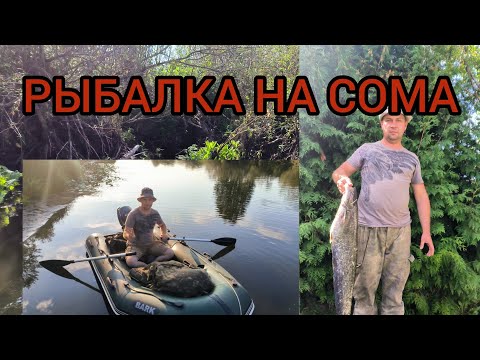 Видео: ВОТ ЭТО ПОВЕЗЛО..) НАКОНЕЦ-ТО Я ЕГО ПОЙМАЛ.РЫБАЛКА НА СОМА С НОЧЁВКОЙ.